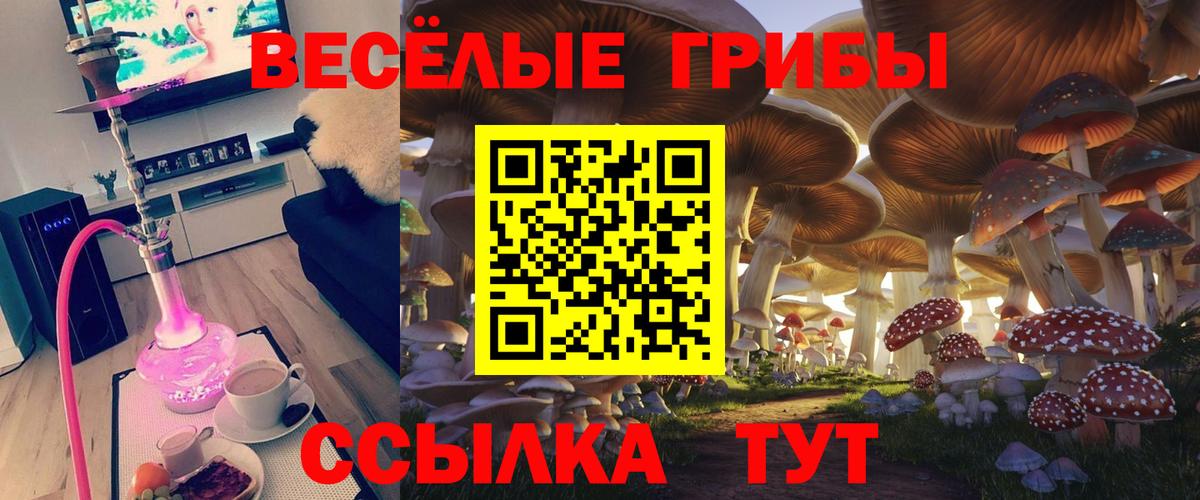 Галлюциногенные грибы MAGIC MUSHROOMS Якутск