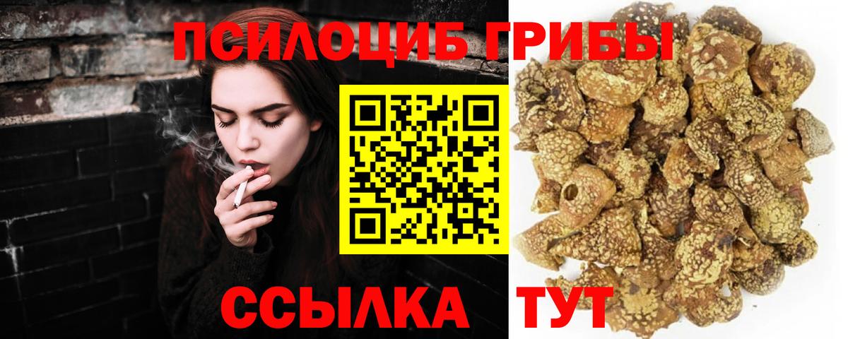 Якутск  Галлюциногенные грибы Psilocybe  Псилоцибиновые грибы Psilocybe  Вход с VPN 